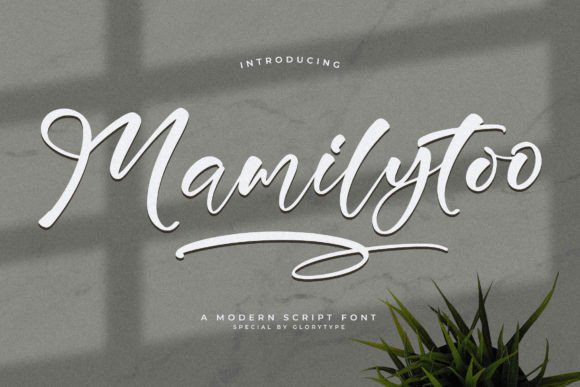Mamilytoo: A Modern Script Font for Real-World Design